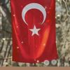 deryagedik88