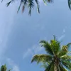 h_00000003