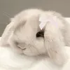 moon_ale4