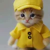 1_maydaca