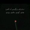 u.m.e.r0333