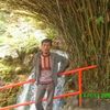 teguhprijanto80