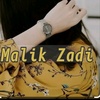 malikzadiii36