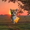 lol_fol6