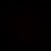 _ste_fan_288