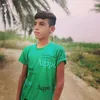 _amer__2010_