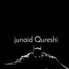 junaidqureshi7599