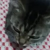 narcisiw