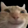 fraubinderin
