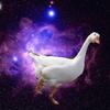 spacegoose01