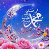 user364312211