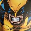 wolverine6079