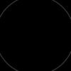 rish_0991