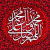 ranaalizain69