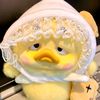 _____kania_____