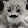 _tquy.8
