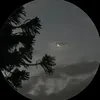 sawsan2219