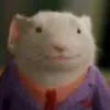 johnlemon310