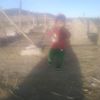 paolahuamani53