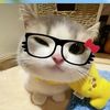 chie_574