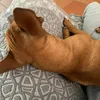 laraholly_