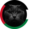 aysem6688