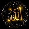 hammad_ahmad_2116