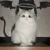 minnzii._.sokhiuu