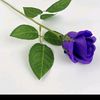 purplerose020