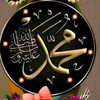 user8678174917678