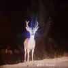 releves_hannibal