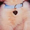 g.d.g.d.g.d.g
