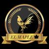 el.maple1