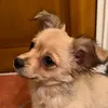 brunooqo4l6