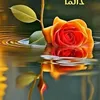 rrabab77