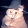 renzofraga4