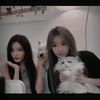 snh48_ya