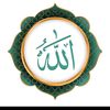 user78859199053741
