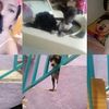 alondra.velasco46