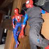 spidercollector