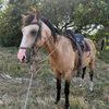 mateopuertaa