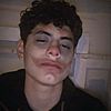 agarifox_pe