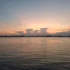 nhinladog3567