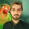 babar13992