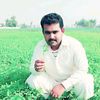 ariyanasimjunejo