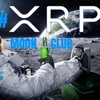 xrpmoonking