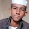 halshay3