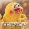 chickenchki