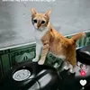 kiepphongtran898