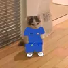 minhlabidaynha